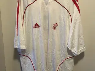 Håndbold landsholdstrøje XL