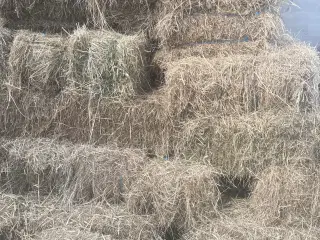 Hø sælges