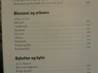 ribe bys historie 1 710-1520, red. af søren bitsch