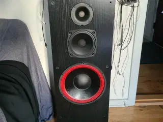 Cervin Vega DC 12 Højtalere 