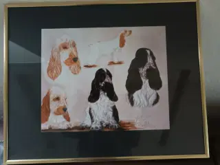 Billede  af Cocker spaniels.