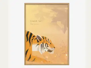 design plakat Tiger