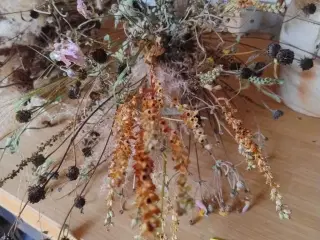 Tørrede naturbuketter