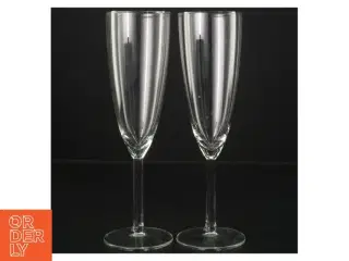 Champagneglas (str. 21 cm)