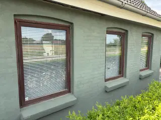 Vinduer Maghoni 