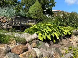 Flotte gratis marksten