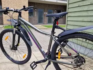 Cannondale mtb