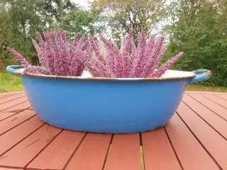 Skab liv i efteråret med Gamle Flotte Emaljerede P