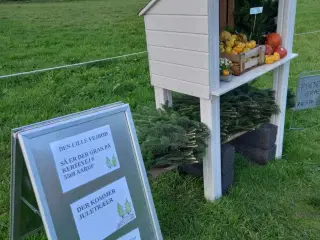 Den lille  vej bod  kertevej 6 5560 