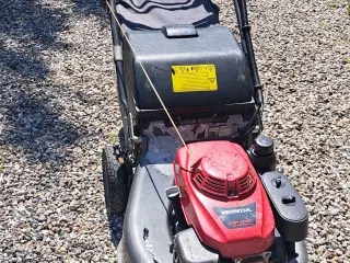 plæneklipper