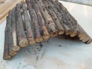 hule/hus/bro til gnavere