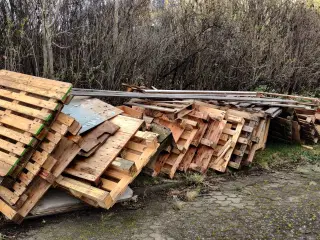 Affaldstræ til afhentning