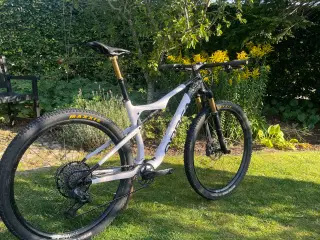 Orbea Oiz M-LTD 2022