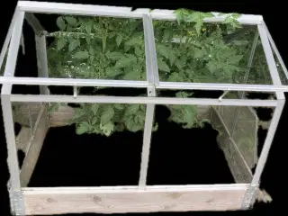 Minidrivhus i glas med vinduer