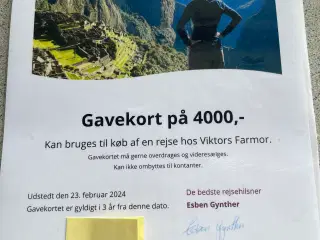 Rejsegavekort til Viktors Farmor værdi 4000