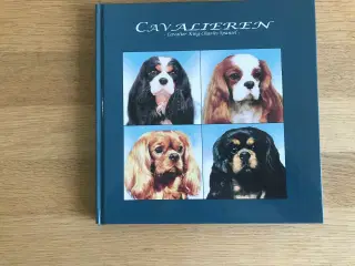 CAVALIEREN - Cavlier King Charles Spaniel