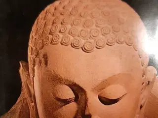 Bog. Buddha's veje 