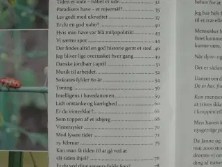 skab dig gennem nysgerrighed, af william fibæk mik