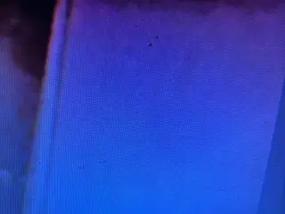 KØBES : Skamol plader til pejseindsats 500x200x2,9