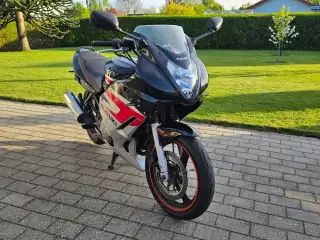 Suzuki gs500 F