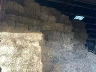 Hø sælges - Morten Korch baller 30 kr.