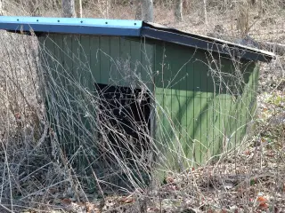 Grisehytte, fårehytte, gedehytte