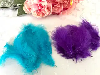 Turkis og lilla fjer 