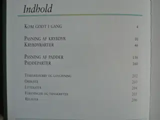 aschehougs terrariebog hold krybdyr og padder uden