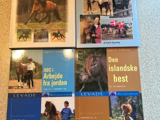 4 bøger om Islandske heste, pæne og velholdte. 