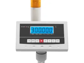 Industrivægt – 300 kg / 0,005 kg – 40 x 50 cm
