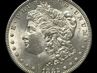 Morgan Dollar 1882