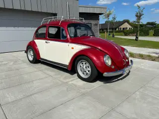 WV Bobbel