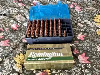 Ammunition 308