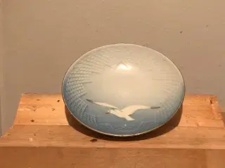 Mågestel med guldkant