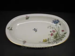 Danmarks Flora Asiet 22,5x13,5 cm.