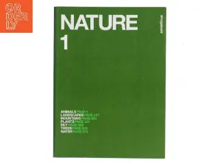 Nature 1 (Bog)