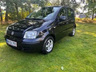 Velholdt Fiat Panda