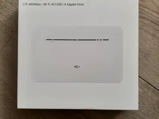 4G+ Router