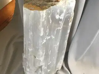 Fossiler, 47 Kg Kolossal Selenit Krystal 46cm Høj