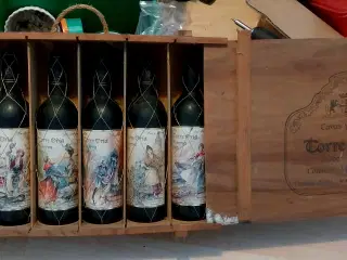 "Vinsamling" fra Torro Orio 