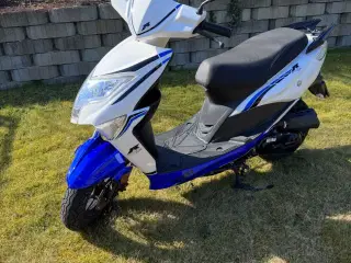 VGA Explora Euro IV 2020