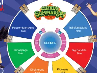 Cirkus summarum billetter