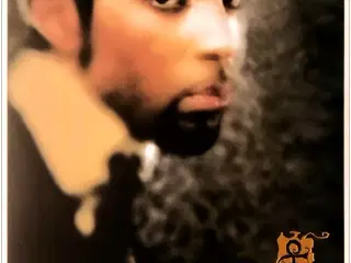 The Artist (Formerly Known As Prince) – The Truth 