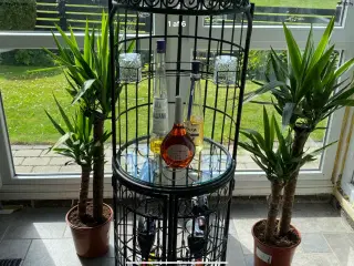 Vinreol