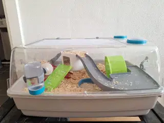 Hamsterbur med hamster - gratis