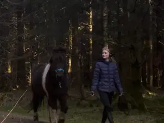 Dejligste Fagur søges sit nye 5 stjernede hjem
