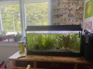 Akvarie 120 l komplet