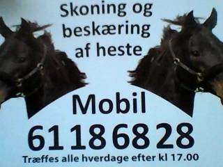SKONING og BESKÆRING af Heste