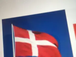 Dannebrogsflag
