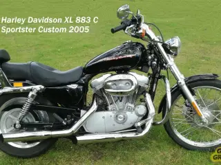 HD  XĹ883C Sportster Custom 2005